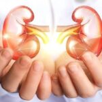La Enfermedad Renal Crónica en México; un reto para la salud pública