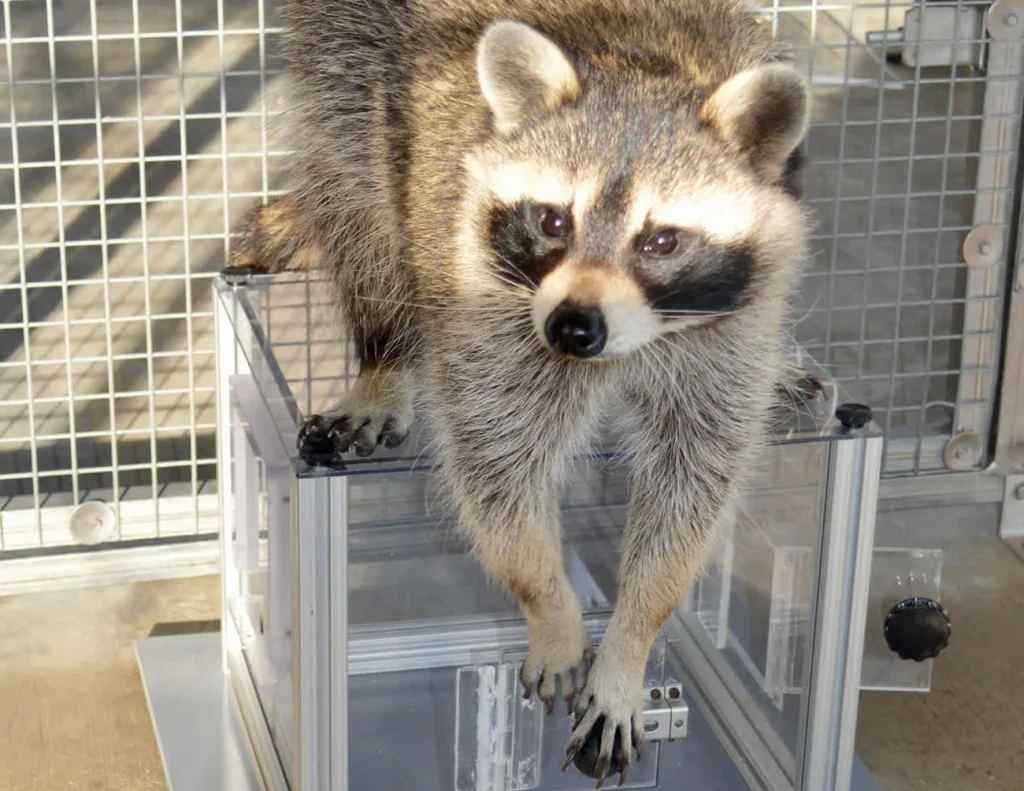 49a4d05334366d5303e9e06c492ce0f2