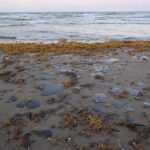 Derrame en Golfo de México genera choque entre Pemex y pobladores