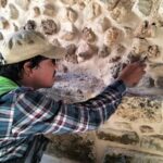 Gobierno invierte mil 880 millones en infraestructura cultural y educativa