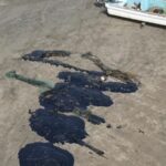 Veracruz reporta playas óptimas para Semana Santa pese a rastros de hidrocarburo