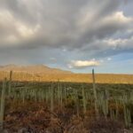 La conservación en crisis: por qué las áreas protegidas deben reinventarse ante el cambio climático