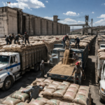 Precio Garantizado inyecta 2,600 millones al acopio de frijol en Zacatecas