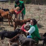 Refugio Franciscano reabre y retoma adopciones tras tres meses