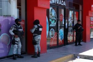 ImageTransformer (18)