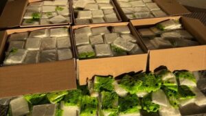 YVQHHZMDJ5AKHGIGT6BS3EMK6Y