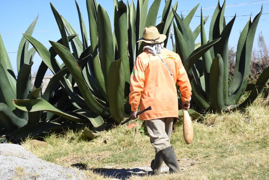 centro-historico-cdmx-fiesta-del-pulque-fecha-cartelera-1-1024x683