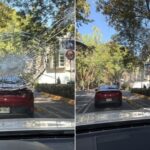 Repunta violencia en puentes peatonales: caso Polanco se suma a ataques en Circuito Interior