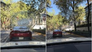 f960x540-850236_924311_5050