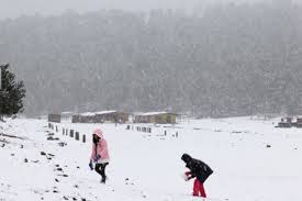 images - 2026-04-01T094630.970