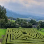 ¿Sin plan estas vacaciones? Recorre los laberintos naturales gratis que esconde la CDMX