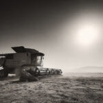 Producción agrícola sube a 36.5 millones de toneladas, pero valor cae 3.7%