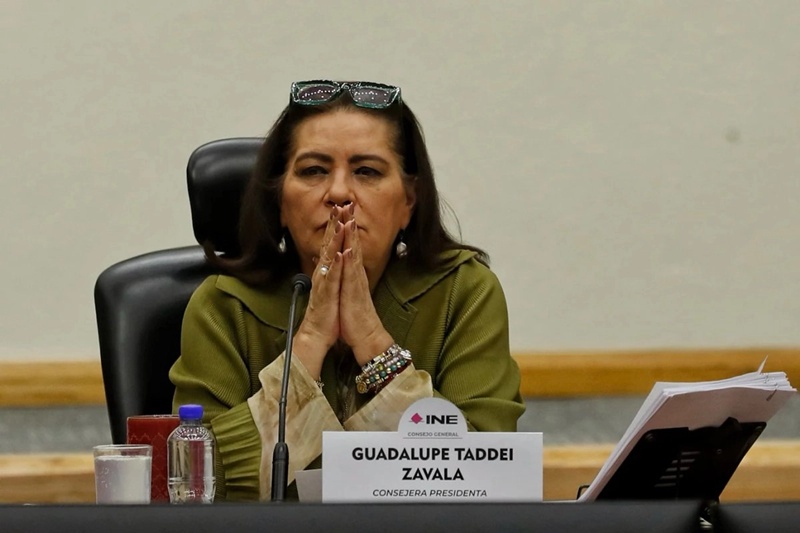 seis-directivos-del-circulo-cercano-de-taddei-aspiran-a-ser-consejeros-del-ine_53b692c5-ab26-4149-beb4-48b48042e157_medialjnimgndimage=fullsize